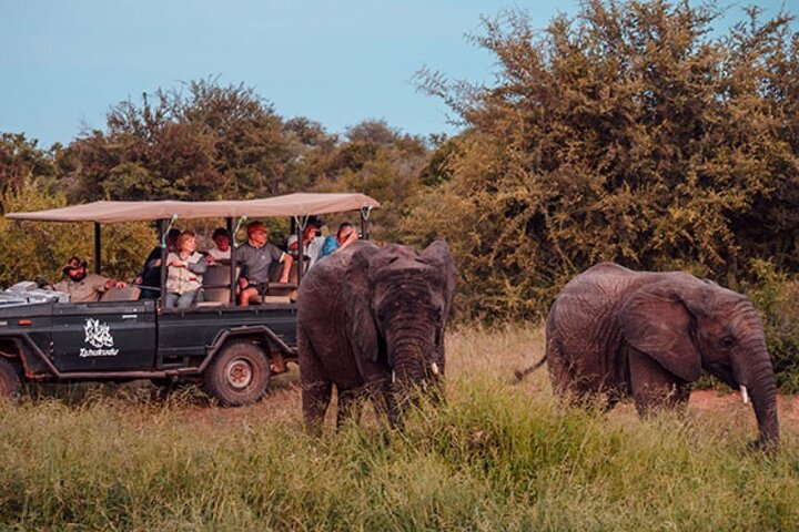 game drive